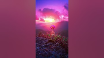 time for a break... #nature #edit