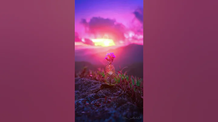 time for a break... #nature #edit thumbnail