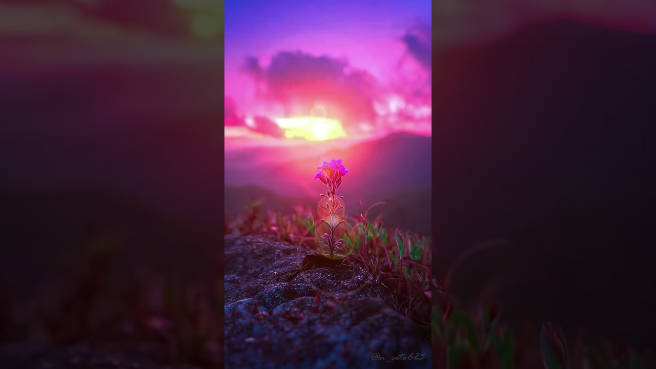 time for a break... #nature #edit