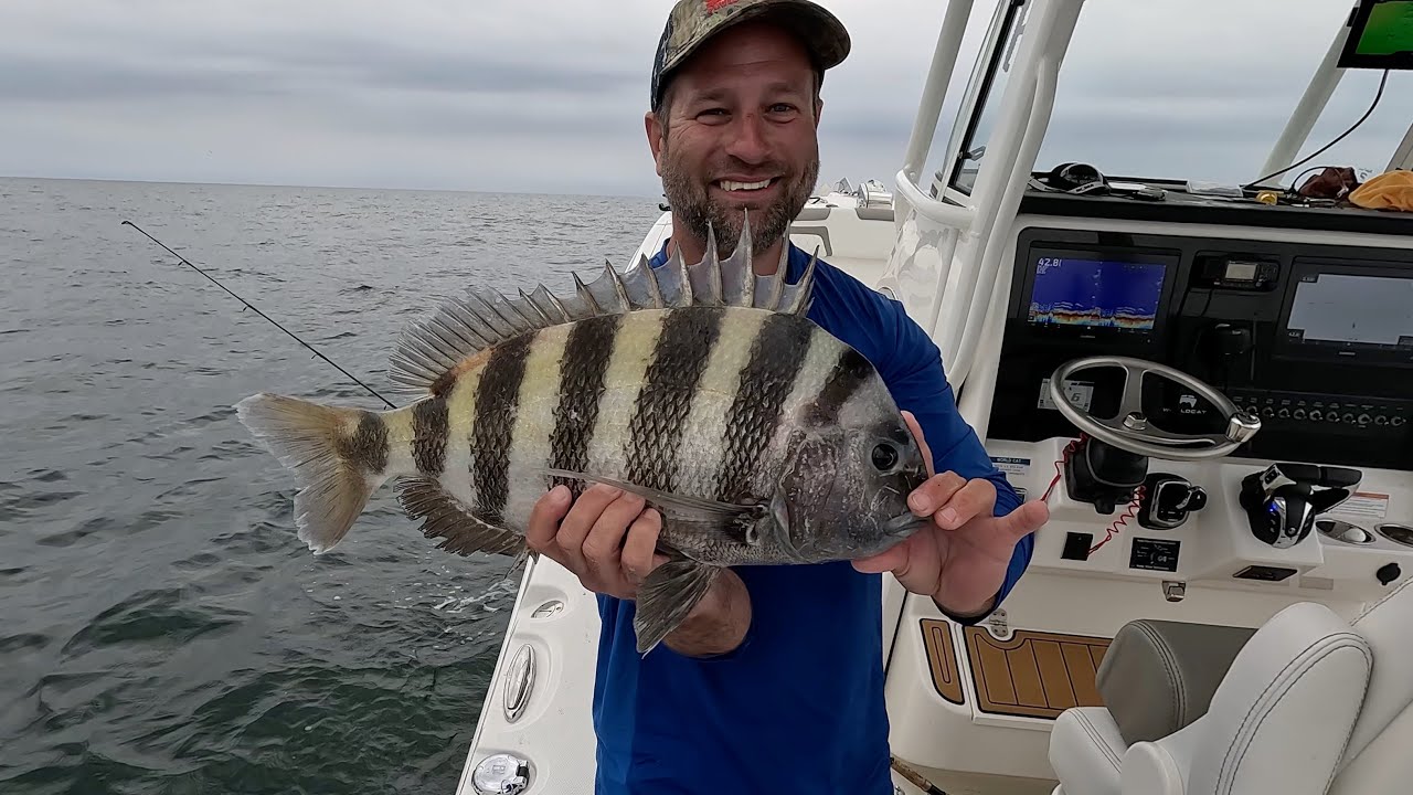 El Cheapo tournament on World Cat 295CC YouTube