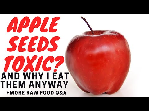 Are Apple Seeds