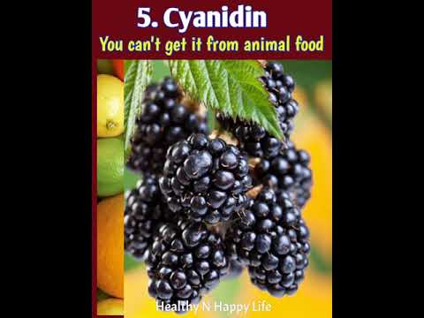 Nutrients You Can&rsquo;t Get From Animal Food | Nutrients Not Found In Animal Food | Healthy N Happy Life