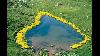 Ana-Babaya İyi Davranmanın Önemi,  Akrabaları Gözetmeli mi