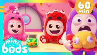 Picnic in Odd Land | Minibods | Rob the Robot & Friends - Funny Kids TV
