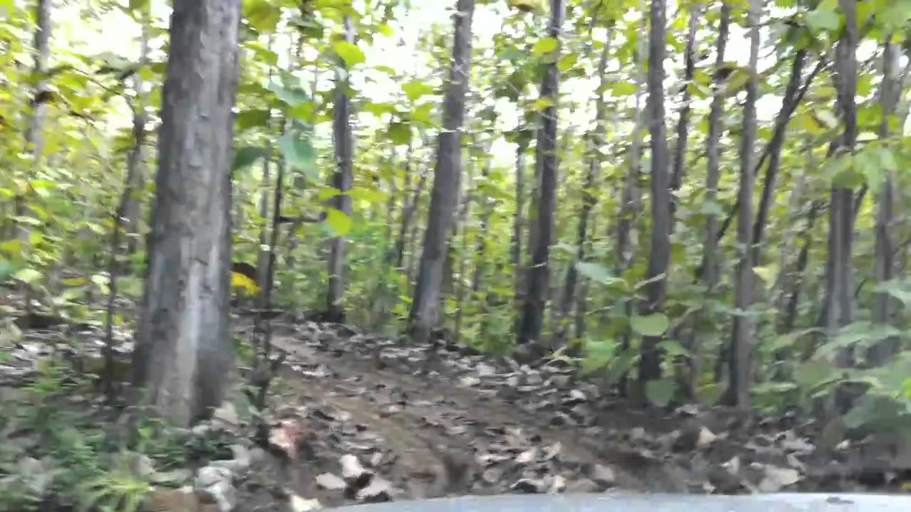 Trinidad, Santa Flora, 20th/03/2011 Part 14 YouTube