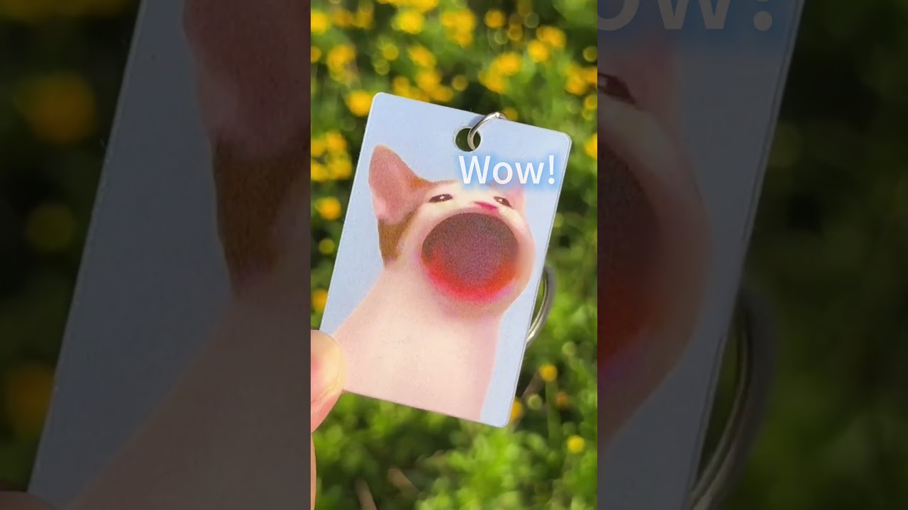 This Viral Pop Cat Keychain Makes the Best Sound! 😹