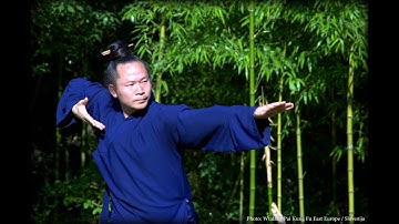 Wudang Mi Chuan Wu Xing Gong / 武当秘传五形养生功