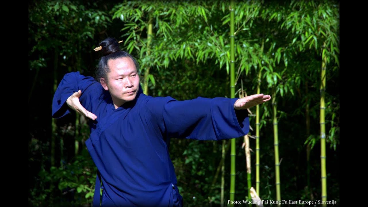 Wudang Mi Chuan Wu Xing Gong / 武当秘传五形养生功