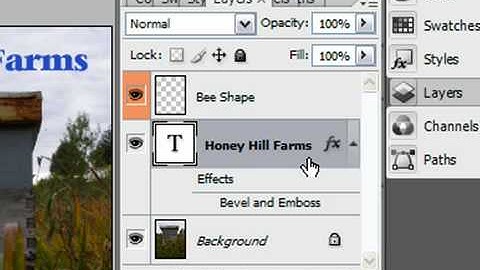 Change Layer Opacity in Photoshop CS3