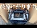 【ご報告】東京での生活に疲れたので、福島の実家に帰ることにしました…