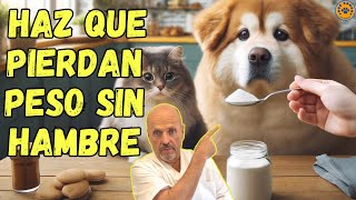 ¿COMO USAR EL PSYLLIUM PARA PERROS Y GATOS OBESOS O SOLO GORDITOS?