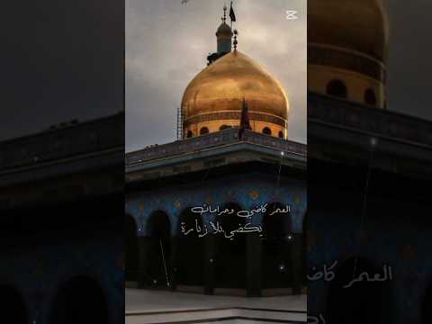 العمر كاضي وحرامات يكضي بلا زياره الملا علي الوائلي