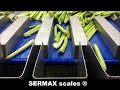 Pesadora para apio sermax scales   weighing machine lm16 for celery sticks