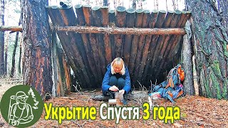 🪓 Поход К Лесному Укрытию Спустя 3 Года 🔥 Собираю Зеленушки 🌲 Неожиданный Поворот Событий