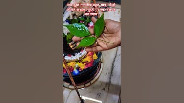 #शॉर्ट्स जब दुख तकलीफ  बहुत  मात्रा मे हो तो करे अशोक  सुंदरी  पर  एक  बेलपत्र  का उपाय// प्रदीप \\