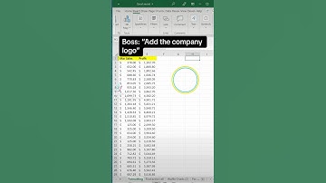 Excel tip to add image or company logo to spreadsheet