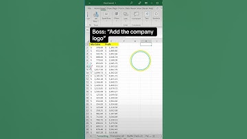 Excel tip to add image or company logo to spreadsheet