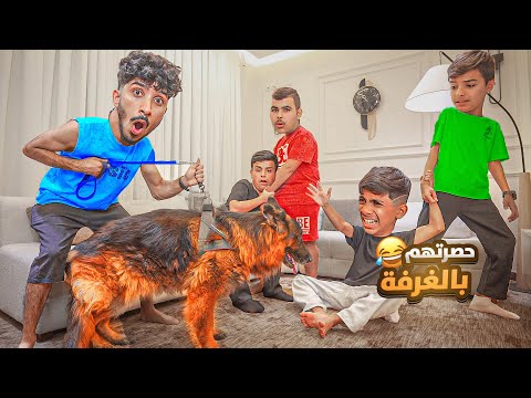فاجأتهم الشباب بكلب حراسة في البيت حصرتهم