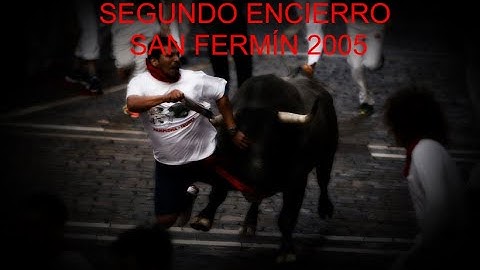 Segundo Encierro San Fermín 2005/ Cebada Gago