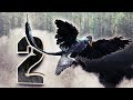 UN POULEZARD A 4 AILES - JURASSIK TUBE #2