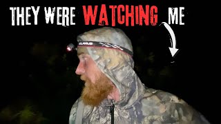 I WAS BEING HUNTED!! Solo Tarp Camping With 2 Dogs