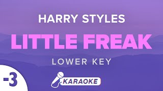 Harry Styles - Little Freak (Lower Key) Karaoke