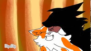 Disabled Warrior Cats MAP Part 6
