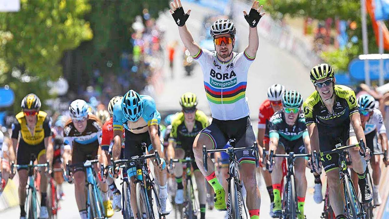 Peter Sagan vs Elia Viviani vs Caleb Ewan / Previa Down Under camera iphone 8 plus apk
