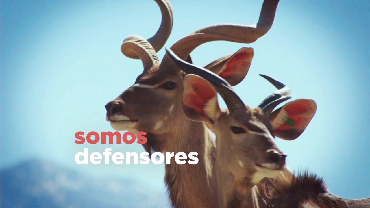 ¡Somos protectores, defensores, líderes, amigos y más!