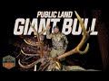 TRENT'S BULL OF A LIFETIME LOF4- EP16