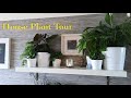 Houseplant Tour (Living Room) March 2020