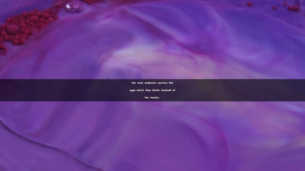 "Seahorse Dads: Nature's Role Reversal in Parenting"