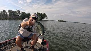 Monster Crappies On A Gulp Sandworm, Lake Murray!