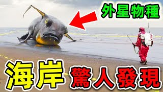 10個海岸上發現的可怕生物！救生員差點被嚇尿，第一名竟然擁有人類基因。|#世界之最top #世界之最 #出類拔萃 #腦洞大開 #top10 #海岸驚人發現