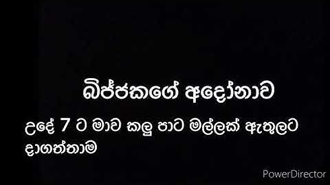 බිජ්ජක් කතා කරයි😂💖