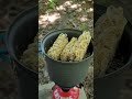 Ein gemütlicher Tag am Fluss #shortvideo #shorts #chillen #naturelover #nature