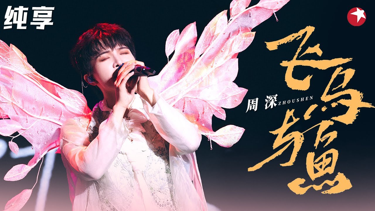 凄美又诀别！周深神级现场《飞鸟与鱼》对我的耳朵太友好了！#主持人歌会 clip