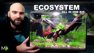 Ecosystem Aquarium In A Nano Kit Tank by MD Fish Tanks 149,909 views 2 months ago 30 minutes