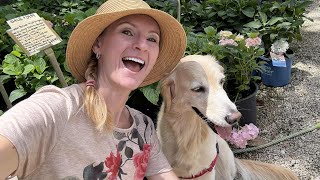 Buying Red Maple 🍁 Tree for my Garden Nursery Walkthrough Plant Haul 