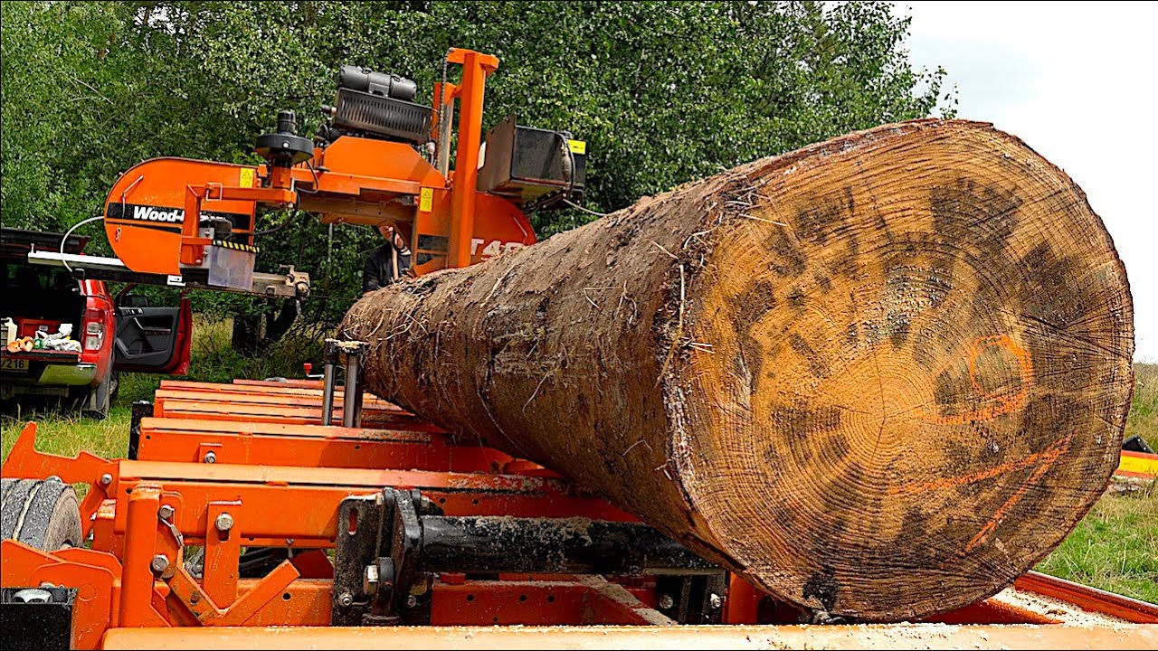 От гигантских деревьев до кровельных балок — мобильная лесопилка, старый трактор и работа в лесу!