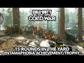 Call of Duty Cold War - Entamaphobia Zombies Achievement/Trophy - 15 Rounds the Yard (Solo)