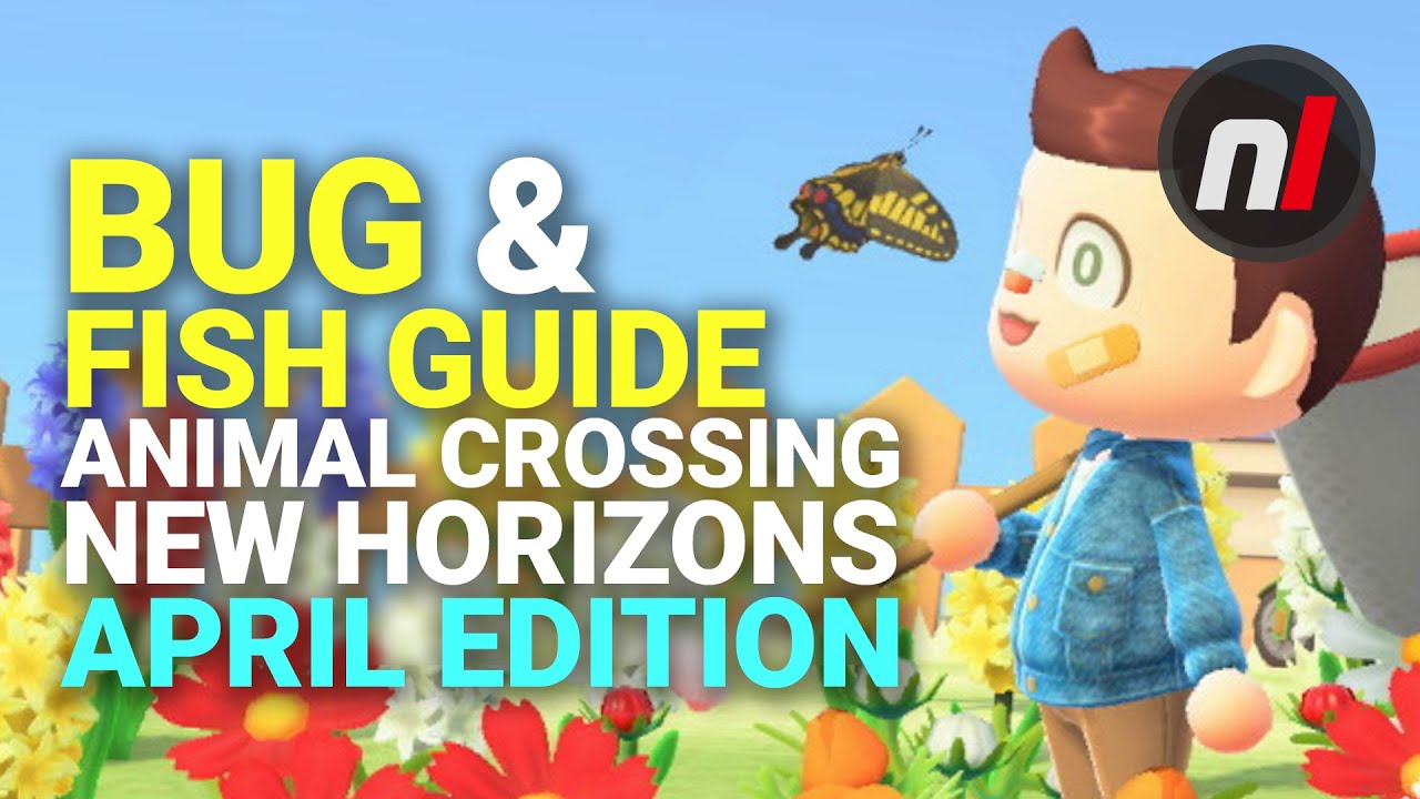 Bug Fish Guide April Edition Animal Crossing New Horizons Youtube