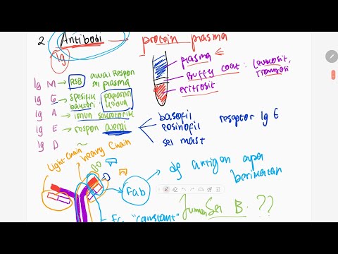 Limfosit B : Antibodi dan Teori Seleksi Klonal