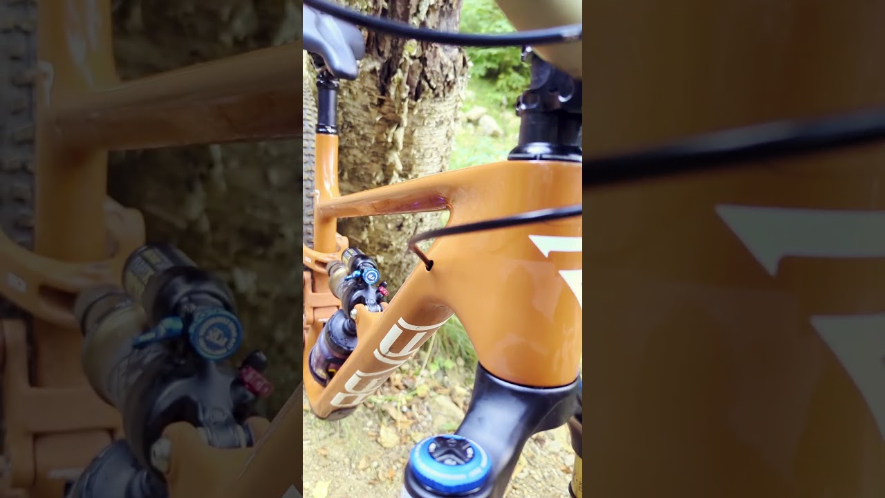 Mon démo "secret" ! ➡️ REVEL RASCAL  