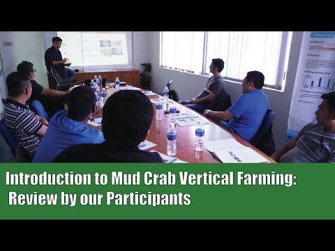 A Review of Our Course on the Introduction of Mud Crab Vertical Farming