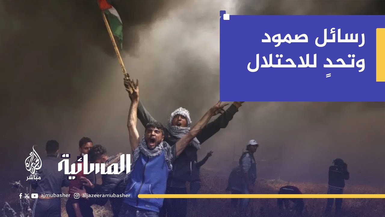 رسائل صمود وتحدٍ للاحتلال.. "بنموت في غزة ولا ننزح منها"