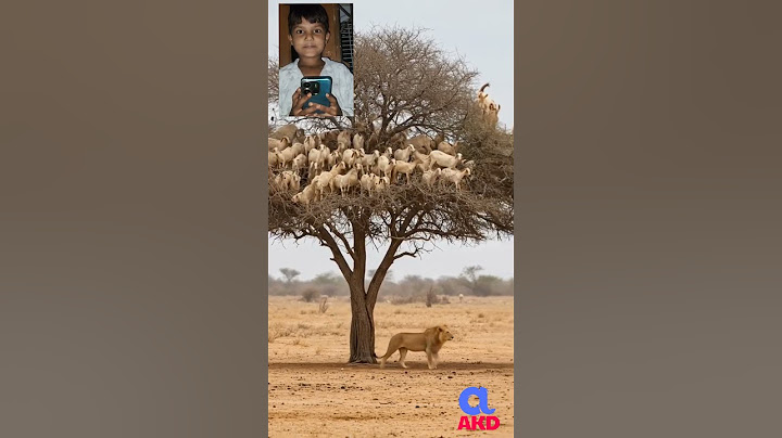 To win you have to think differently and go where no one goes!"#ViralVideo #collab