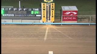 Gawler-01052016-Race-8