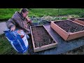 Our Way of RAISED Planter Boxes in Garden