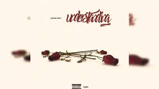 Lucas Coly - Understanding